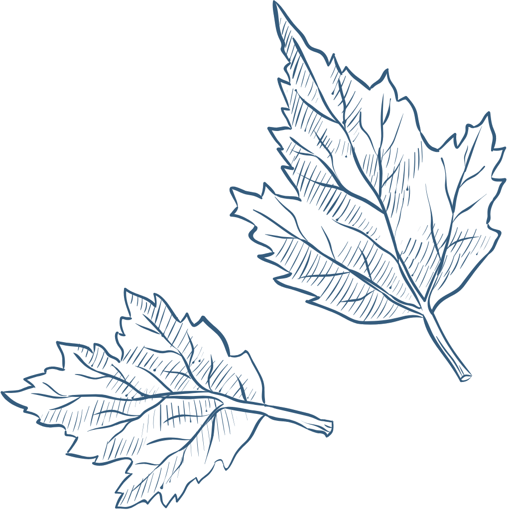 Falling leaf 2
